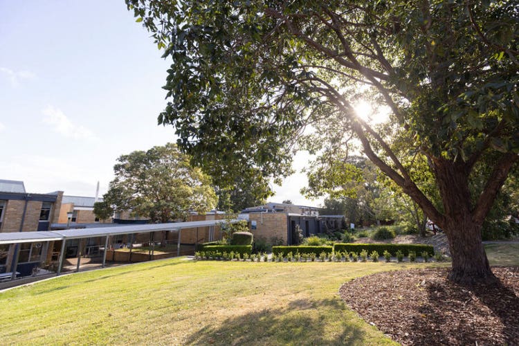 beautiful grounds of sylvania high school