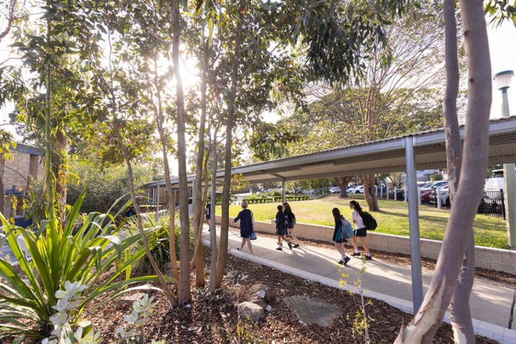 Beautiful vast leafy spaces at Sylvania High School